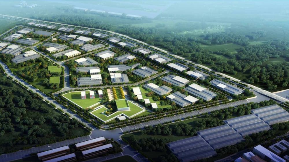 Special Economic Zone development